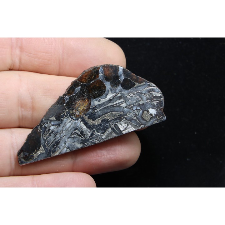 METEORITE pallasite seymchan