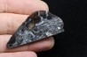 METEORITE - pallasite SEYMCHAN
