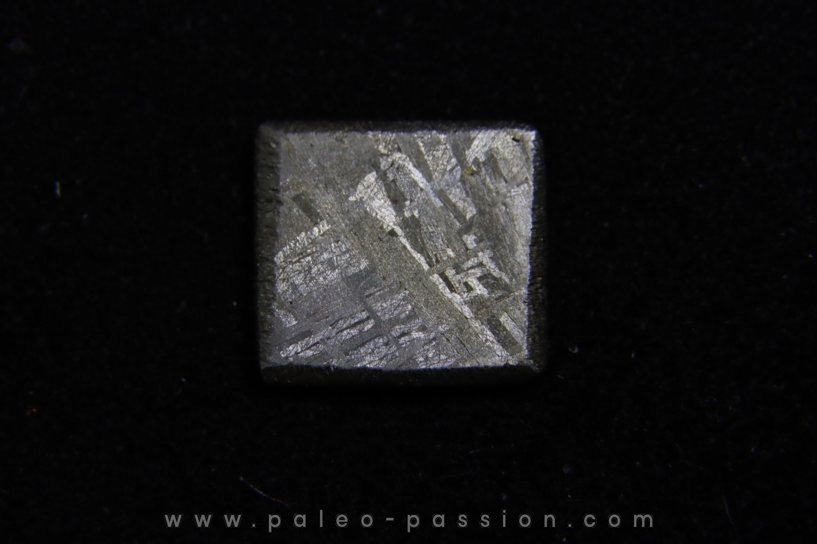 Météorite: SIDERITE iron IVA - GIBEON