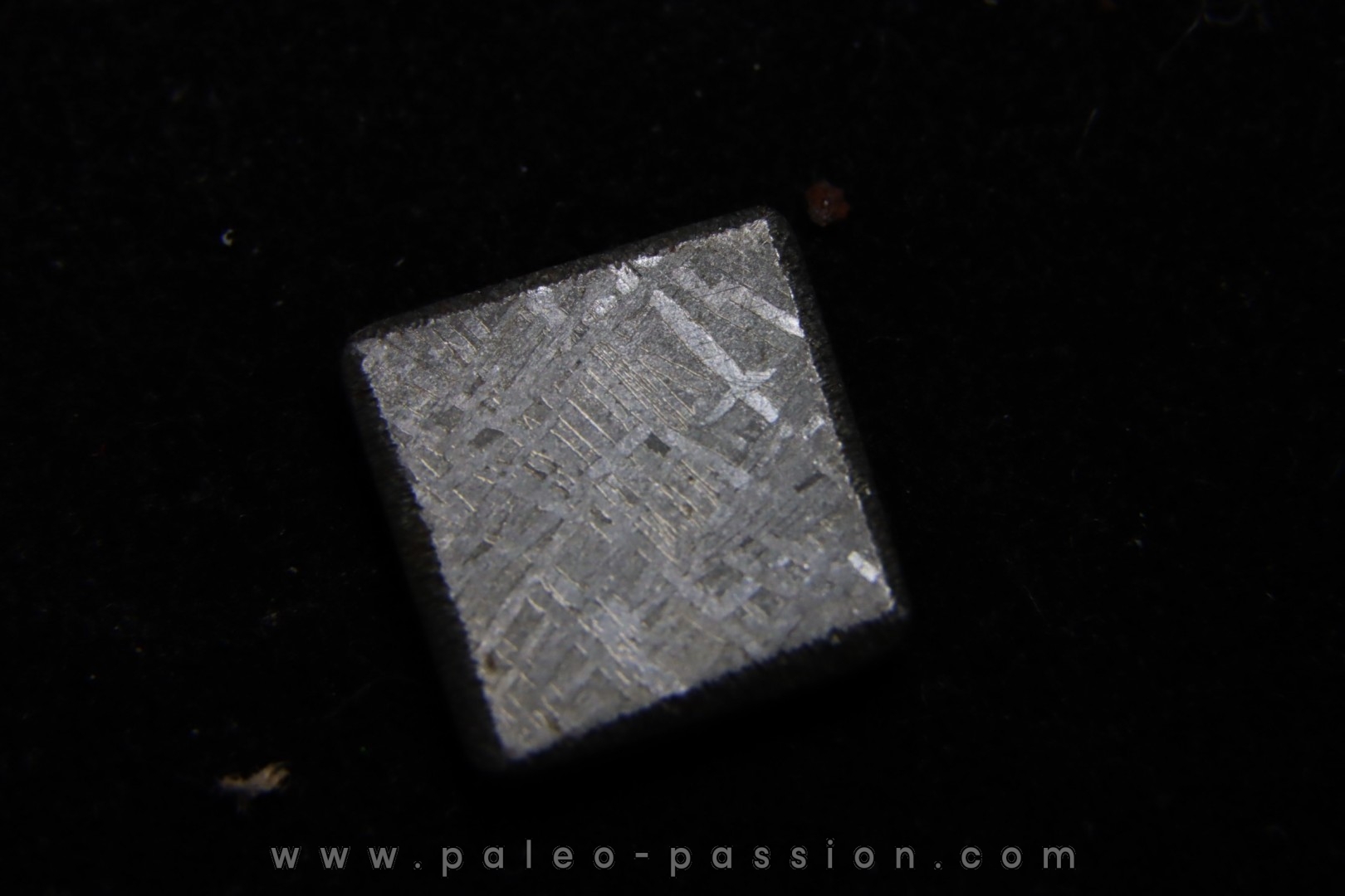 Météorite: SIDERITE iron IVA - GIBEON