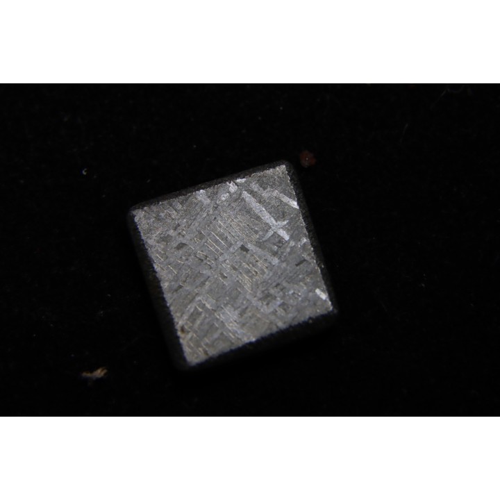 Météorite: SIDERITE iron IVA - GIBEON