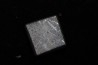 Météorite: SIDERITE iron IVA - GIBEON