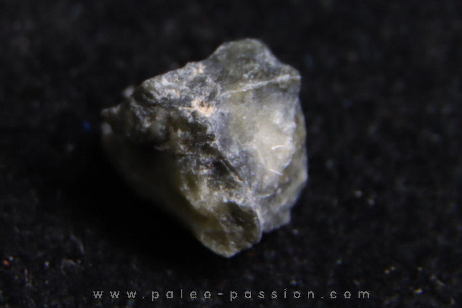 METEORITE ACHONDRITE DIOGENITE TATAHOUINE