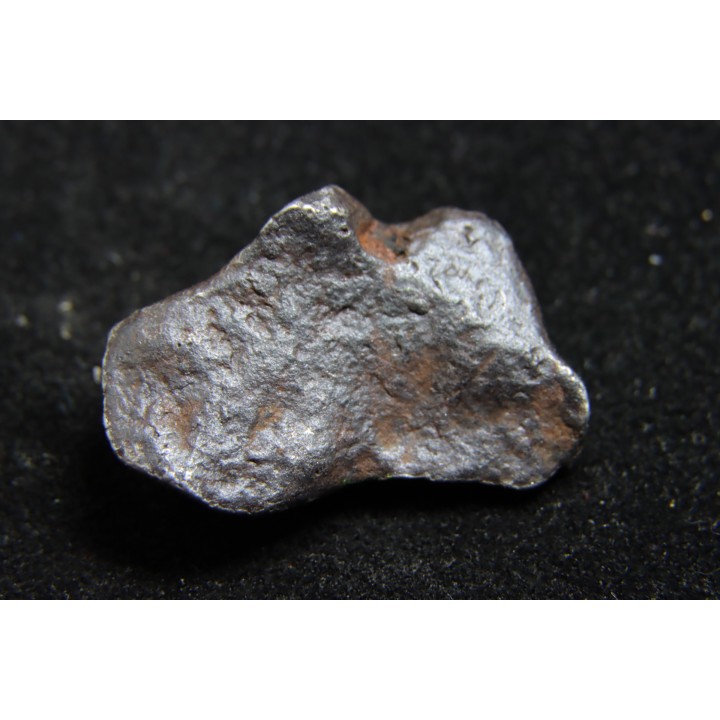 Météorite: SIDERITE iron IIIAB - HENBURY