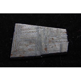 Météorite: SIDERITE iron IVA - MUONIONALUSTA