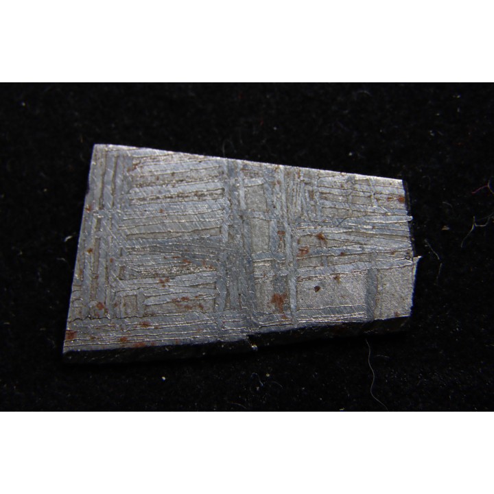 Météorite: SIDERITE iron IVA - MUONIONALUSTA