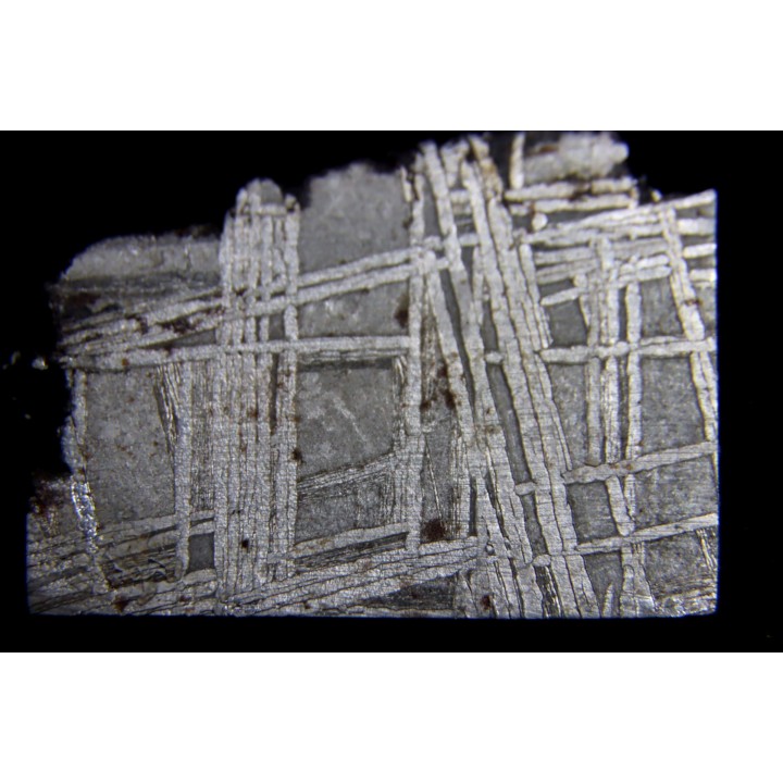 Météorite: SIDERITE iron IVA - MUONIONALUSTA