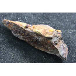 Météorite: SIDERITE iron IIIAB - SAIN AUBIN - FRANCE