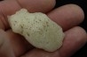 TECTITE: verre libyque