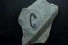 Hamites (Idiohamites) cf. favrinus - Upper Albian - Hautes Alpes, France