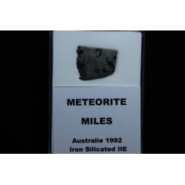 Météorite: SIDERITE iron IIE - MILES
