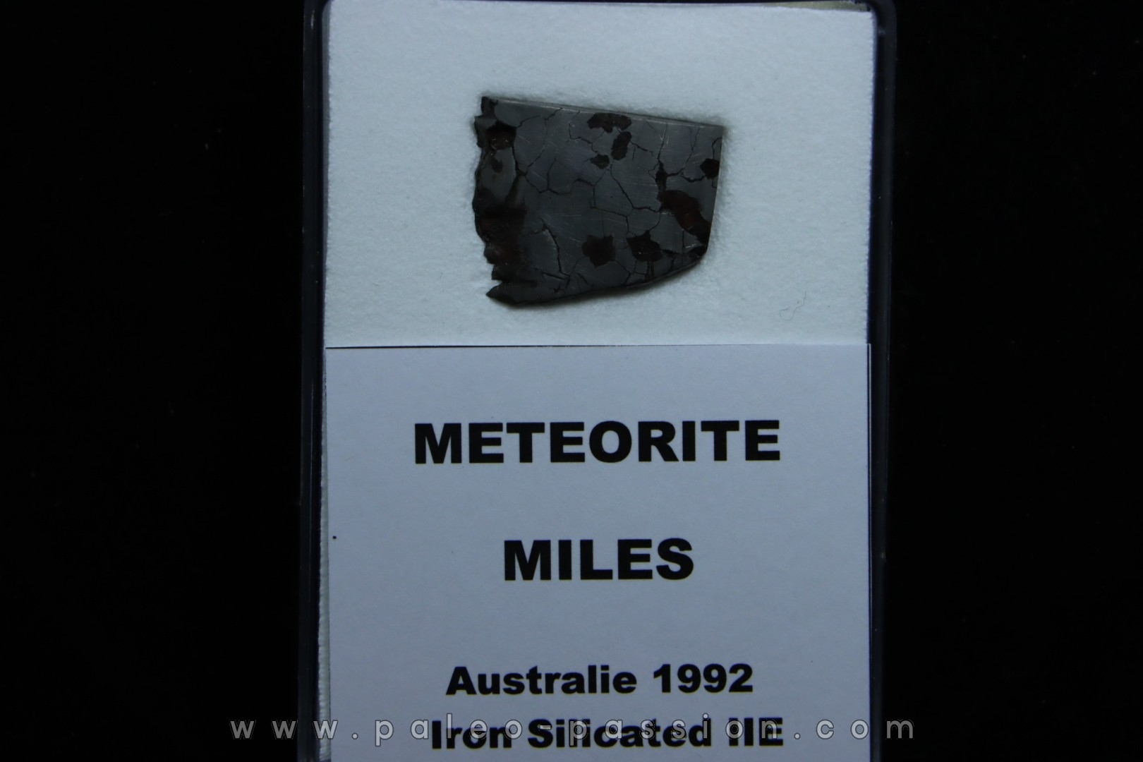 Météorite: SIDERITE iron IIE - MILES