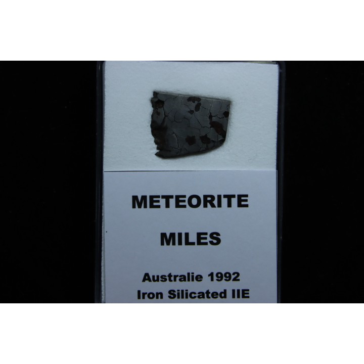 Météorite: SIDERITE iron IIE - MILES