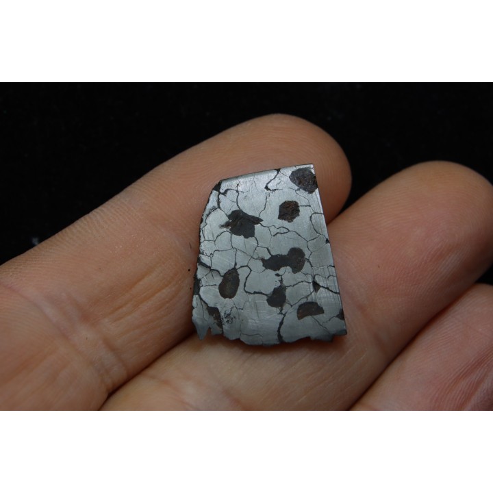 Météorite: SIDERITE iron IIE - MILES