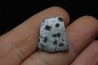 Météorite: SIDERITE iron IIE - MILES