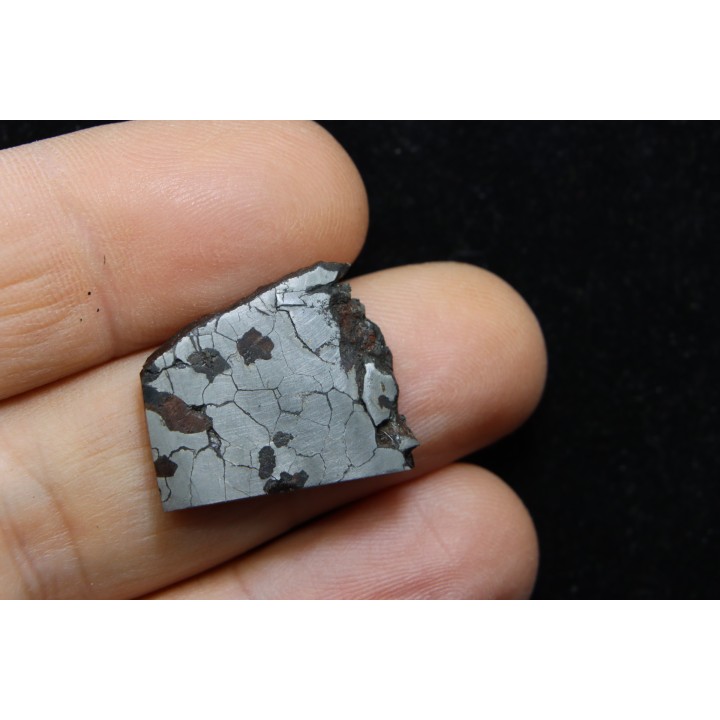 Météorite: SIDERITE iron IIE - MILES