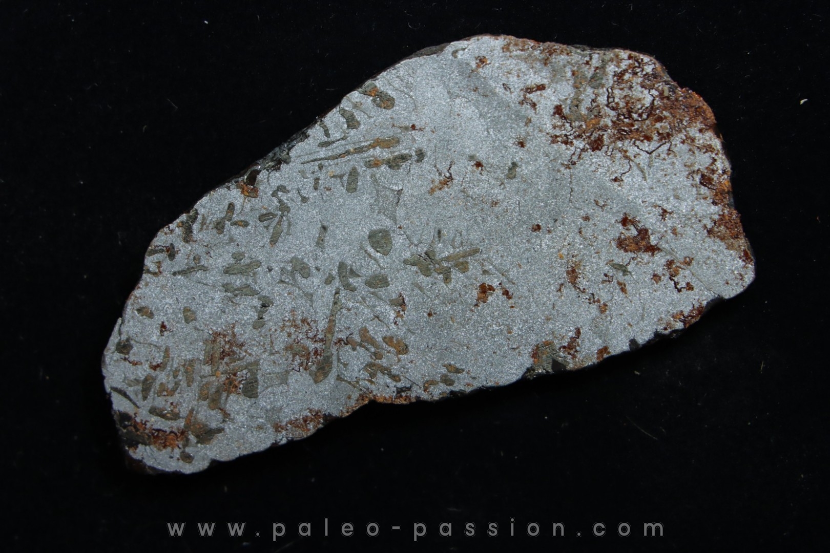 Météorite (slice) - iron IAB-MG -Uruaçu