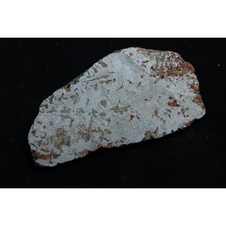 Météorite (slice) -  iron IAB-MG -Uruaçu