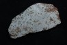 Météorite (slice) - iron IAB-MG -Uruaçu