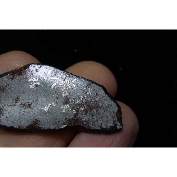 Météorite (slice) -  iron IAB-MG -Uruaçu