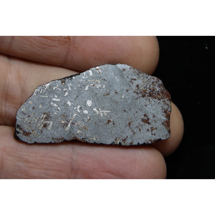 Météorite (slice) -  iron IAB-MG -Uruaçu