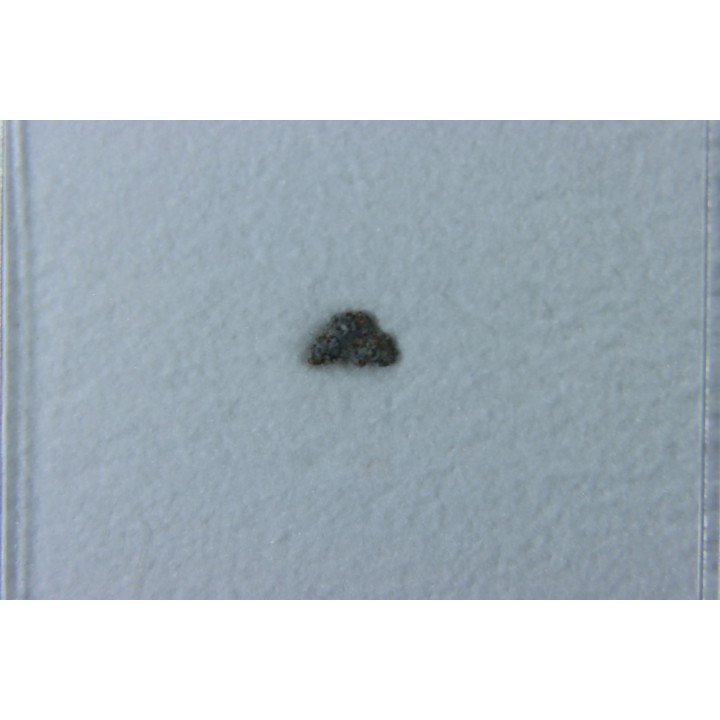 Météorite: CHONDRITE H4 - CHARSONVILLE - France