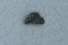 Météorite: CHONDRITE H4 - CHARSONVILLE - France