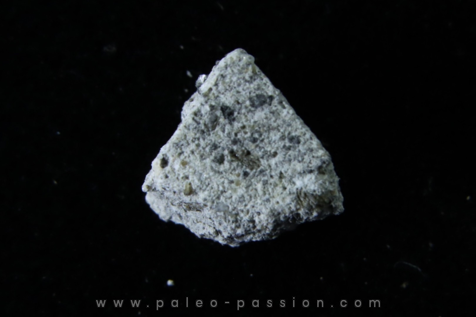 Météorite: ACHONDRITE HED HOWARDITE - LE TEILLEUL - FRANCE
