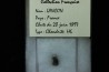 Météorite: CHONDRITE H6 - LANCON - FRANCE