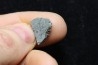 Météorite: CHONDRITE CK4 - NWA 2519