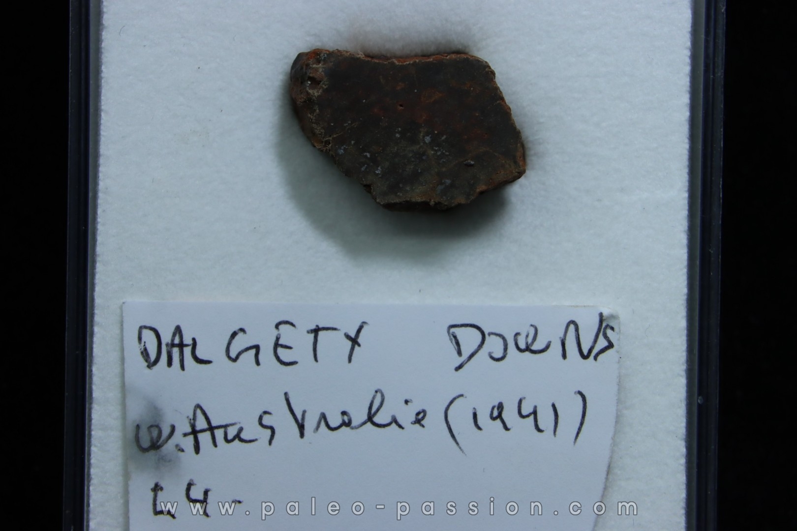 Météorite: CHONDRITE L4 - DALGETY DOWNS