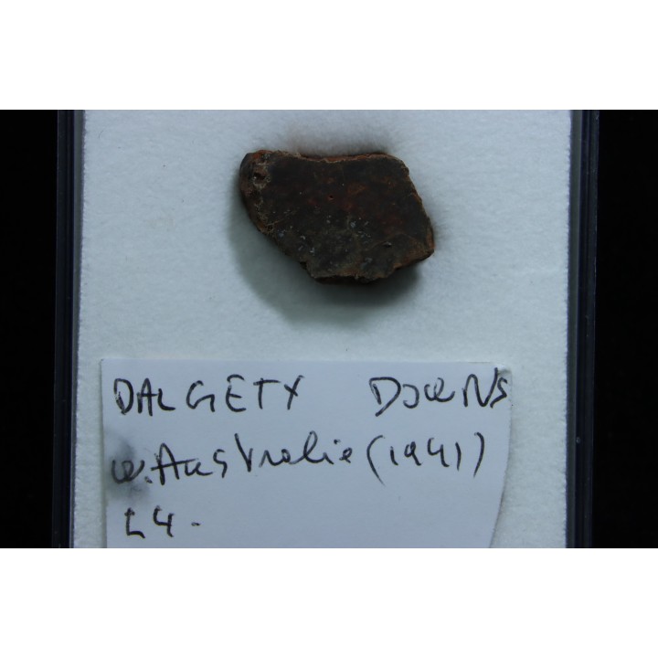 Météorite: CHONDRITE L4 - DALGETY DOWNS