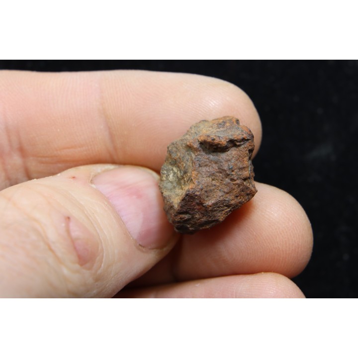 Météorite: CHONDRITE L4 - DALGETY DOWNS