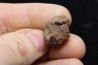 Météorite: CHONDRITE L4 - DALGETY DOWNS