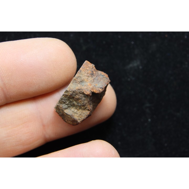 Météorite: CHONDRITE L4 - DALGETY DOWNS