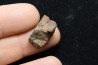 Météorite: CHONDRITE L4 - DALGETY DOWNS