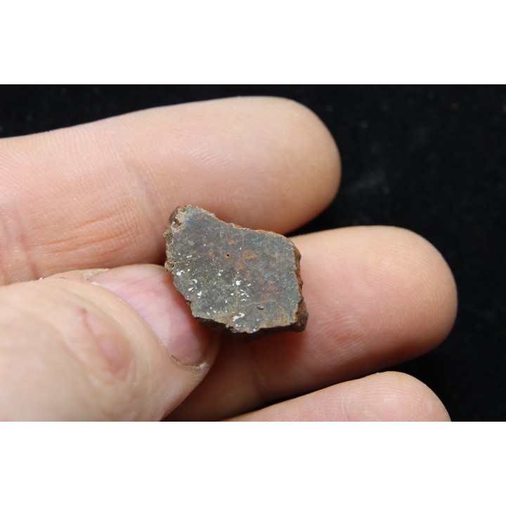 Météorite: CHONDRITE L4 - DALGETY DOWNS