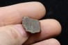 Météorite: CHONDRITE L4 - DALGETY DOWNS