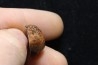 Météorite: ACHONDRITE HED EUCRITE - MILLBILLILLIE
