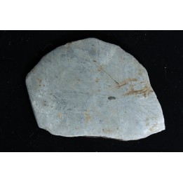 Météorite: SIDERITE iron IVA - GIBEON
