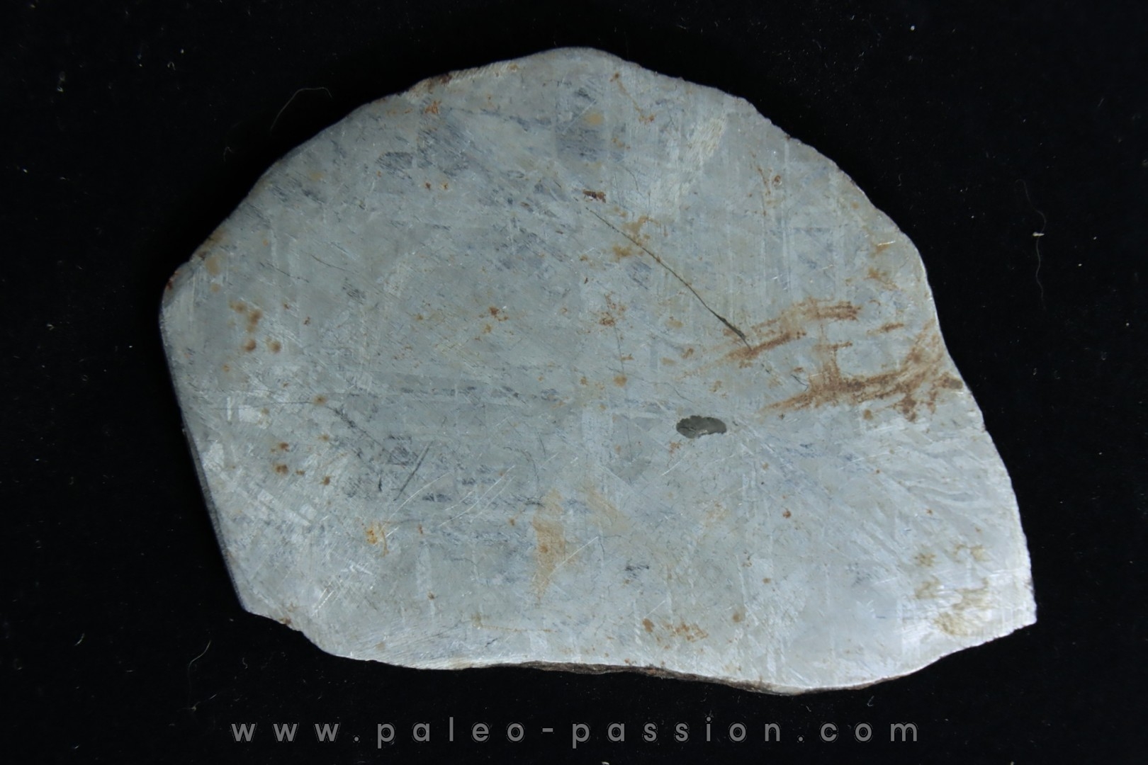 Météorite: SIDERITE iron IVA - GIBEON