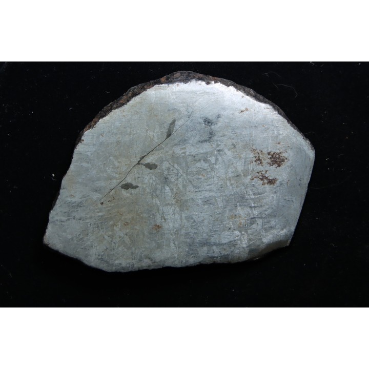Météorite: SIDERITE iron IVA - GIBEON