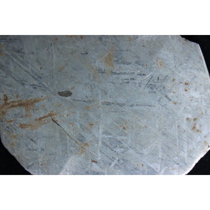 Météorite: SIDERITE iron IVA - GIBEON
