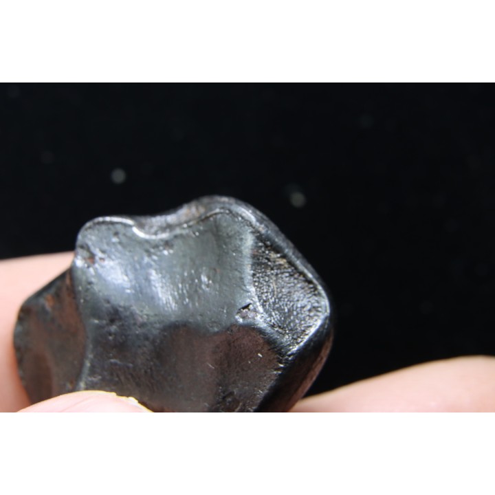 METEORITE (oriented) SIDERITE IIAB - SIKHOTE ALIN - Russie