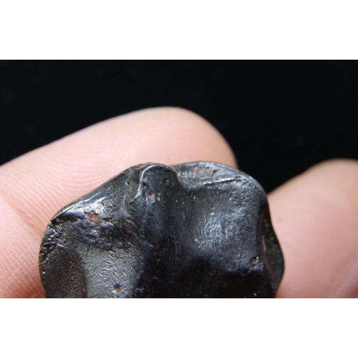 Météorite orientée: SIDERITE IIAB - SIKHOTE ALIN - Russie