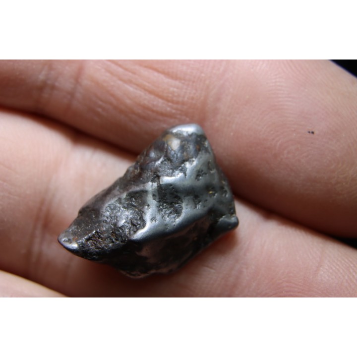 METEORITE: SIDERITE IIAB - SIKHOTE ALIN - Russie