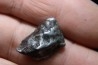 Météorite: SIDERITE IIAB - SIKHOTE ALIN - Russie