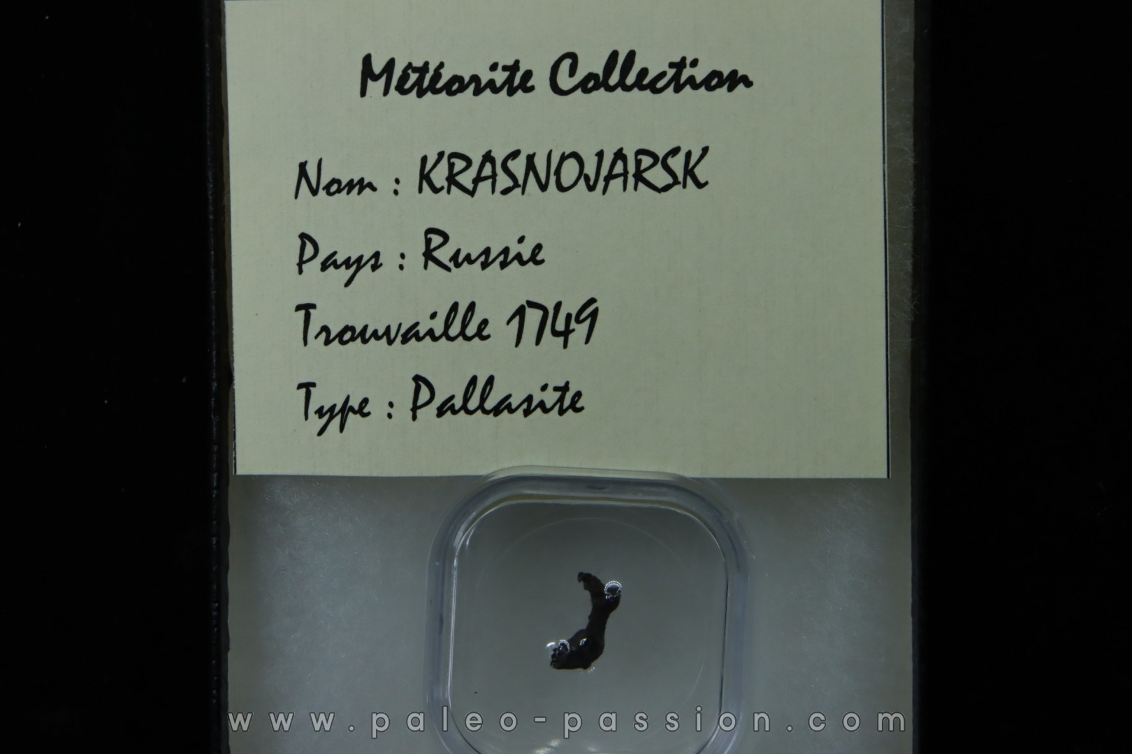 METEORITE: PALLASITE - KRASNOJARSK - Russie