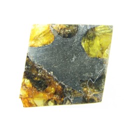 METEORITE: PALLASITE - ESQUEL