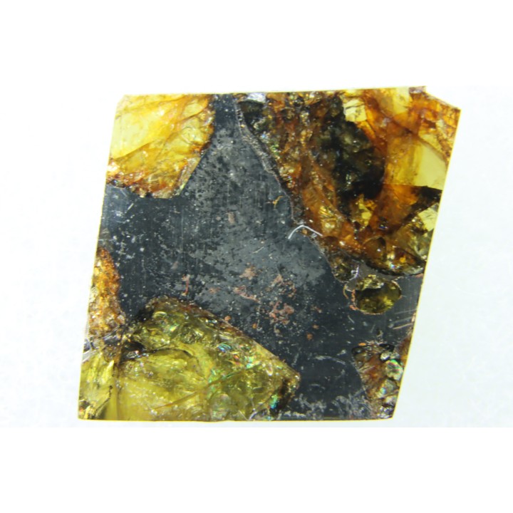 METEORITE: PALLASITE - ESQUEL